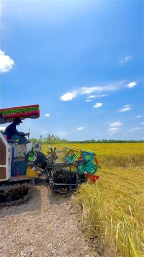 Máy Cắt Lúa Kubota DC 105X