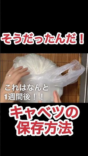 キャベツの保存方法 N.D.Kitchen