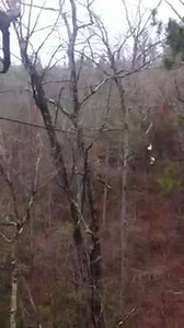 Coming soon to several state parks. Alabama State Parks Division | Lake Guntersville State Park-Alabama