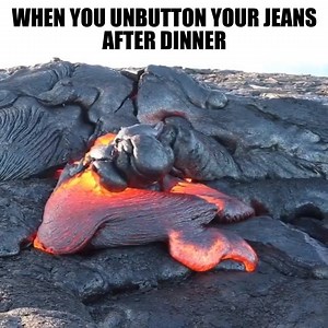 3.8M views · 3.1K reactions | Let it all hang out... Follow Tastemade UK for more  | Tastemade UK | Facebook