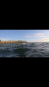 14 reactions | Open Water Swimming Club on Reels | Facebook