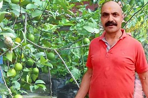 27K views · 817 reactions | SikkimNews How is Terrace Farming done in Sikkim? Prabhakar Dhakal, who has successfully been involved in terrace farming in the state for long discusses and shows his farming techniques. | Sikkim News | Facebook