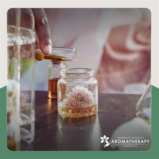 Unlock evidence-based natural therapies 🌿 Study aromatherapy & wellness online, at your own pace. Nationally recognised courses for a meaningful career in holistic health. Invest in your passion with data-driven education. | Australian College of Aromatherapy