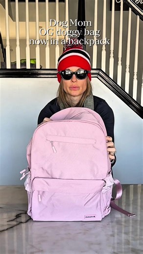 Traveling with Pets: The Ultimate Dog Backpack