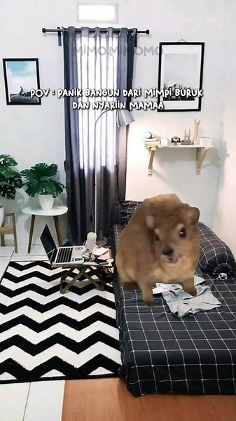 apapun masalahnya, panggil mama solusinya😭🫵🏼 #funny #funnyvideo #fy #fyp #foryourpage #meme #foryou #xybca