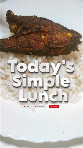 today's Simple Lunch #food #shorts #shortsfeed #trendingshorts #jesadml