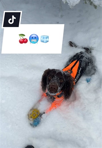 Vastaus käyttäjälle @.