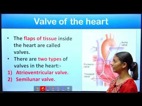 Cardiovascular System for GNM & B.Sc Nursing Students (Gujarat) | Heart Anatomy & Physiology | Myapp