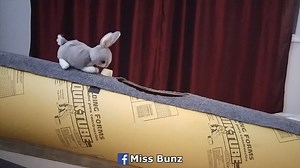 Dear Miss Bunz, Last night, I dreamt that you hopped into my lap to steal a bite of banana. I woke up smiling because I can still remember your sweet bunny scent. And in my dreams, I can still hold you and touch your super soft fur. In those moments, it's like you're still here. Thank you for all the wonderful years we had together. I still think about you everyday and while my heart will never fully heal, my thoughts have shifted to our happy times. I miss you and I love you, Mom | Miss Bunz