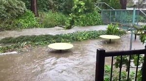 An Aldgate pizza bar's outdoor dining area has been hit hard by flash flooding. Full report in 7 News at 6pm. More: http://bit.ly/2c7M0hQ Amelia Mulcahy will have all the latest weather details. Watch on Channel Seven Adelaide or stream live at 6pm: www.7live.com.au #Aldgate #7News | 7NEWS Adelaide