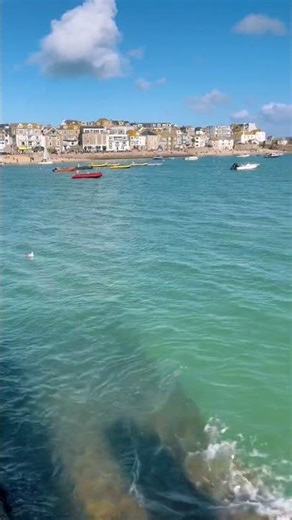 St Ives Harbour Cornwall