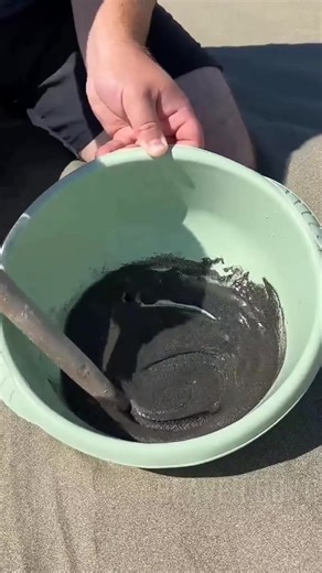 49K views · 348 reactions | Find gold on beach殺#treasure #gold #discovery #beach #viral #creatorsearchinsights | Beach Treasure | Facebook