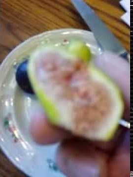 How to eat figs