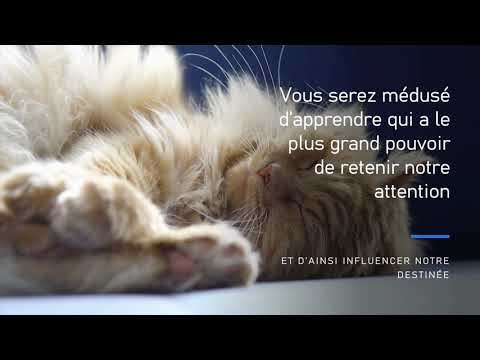 ConSpy, le jeu