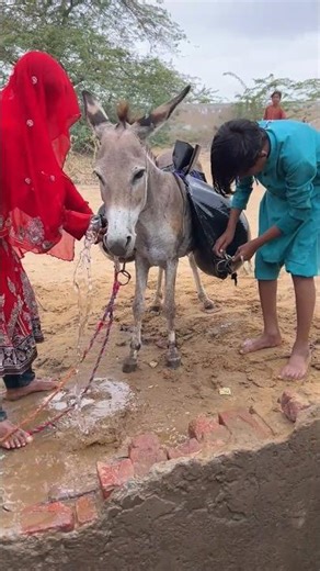 امرأة وطفلها يجمعان الماء الذي يحمله حمار إلى داخل خزان.