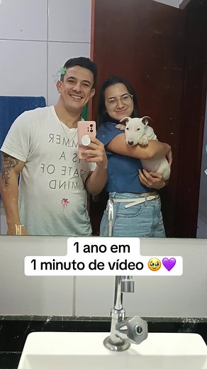 Pandorinha crescendo tão rápido 💜 #cachorro #pet #crescendo #bullterrier #bullterrierlover