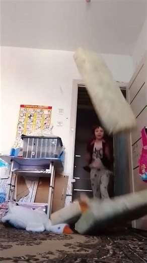 бабочка прилетела прямо на камеру