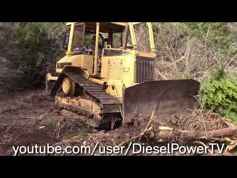 Caterpillar D5M Pushing Overgrown Cedar Trees! Part 4