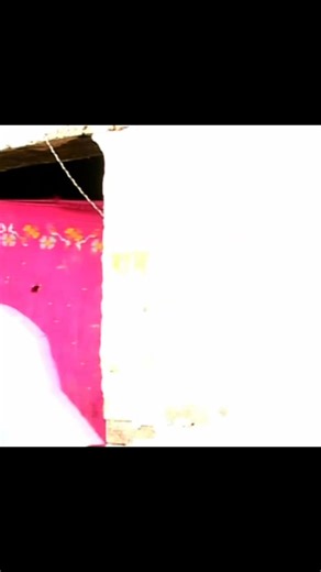 533K views · 18K reactions | Uttar kumar akad movie scene #uttarkumar #uttarkumararrest #uttarkumarnews #uttarkumarmovie #uttarkumardhama #dhakadchora | MV HITS | Facebook