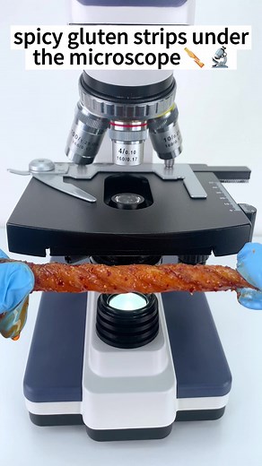 Spicy Gluten Strips Under Microscope - 400x Magnification