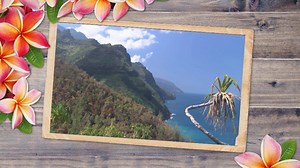 Enter for a chance to win a vacation for 2 to Hawaii, in the "You Gotta Love Hawaii" Contest! http://wntwrk.com/GoHawaii | W Network