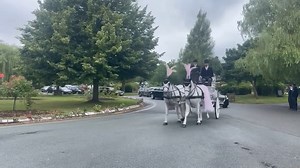 52K views · 1.1K reactions | A beautiful pink and white horse and carriage could be seen making its way to Landican Cemetery for the funeral of Moreton mum-of-three Melissa Kinsella today懶 | Wirral Globe | Facebook