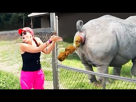 she didn’t expect the poop..