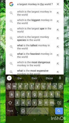 Which is the largest monkey in the world?