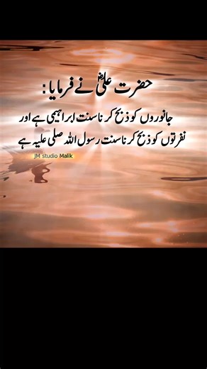 JM studio على TikTok