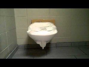 2015 Sloan Wall-hung Toilets