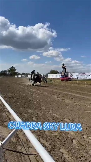 CERRANDO EL AÑO CON MUY BUEN RESULTADO LA CUADRA SKY LUNA 🌛 👌 EN CARRIL FIRST DOWN DASH, EN TERRENATE TLAXCALA. DOMINANDO CON EL TARZANZITO EN LA DE TAPADOS VS C. ESPERANZA. Y CON EL REY DE CORAZONES VS C FORTALEZA, C 4 AMIGOS, C. AMOZOC... SIN DUDA ALGUNA, MUY BUEN RESULTADO, LE DESEAMOS EL MEJOR DE LOS EXITOS PARA EL AÑO 2026 Y QUE SIGAN LOS TRIUNFOS. SALUDOS A TODO EL EQUIPO, CONEXIONES, AL MERO JEFE TAVO LUNA, AL CHINGON RAMON ROSAS, GAEL... | Foto Corcel