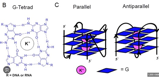 Epigenetic mistakes in Plasmid manufacturing