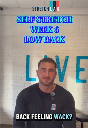 Lower back feeling wack? 😅 Let’s fix that! 💡FUN FACT Your lower back carries most of your upper body weight, which is why tight hips and hamstrings often turn into lower back pain. Regular stretching helps take the pressure off and keeps everything moving the way it should. 🫶🏼Try these at home, then come feel the difference with a professional stretch! 🎉 New to StretchLab? Get 50% OFF your Intro Stretch! Your back will thank you. 📲Call or text us: 509-992-7084 to book! #MobilityMonday #Str