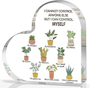 Mental Health Decor, Mindfulness Decor for Therapy Office Things I Can Control Acrylic Heart Gifts, School Counselor Sign Therapist Office Art Decorations for Therapist Office Living Room Bedroom