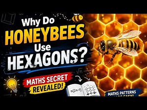 Hexagonal numbers pattern||how to find hexagonal numbers||