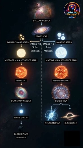 The Life Cycle of a Star: From Nebula to Black Hole | Stellar Evolution