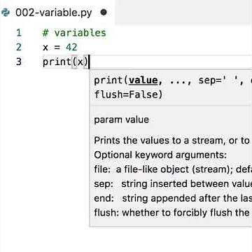 Creating and using variable in Python