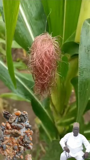 Mamadou Kone on Reels