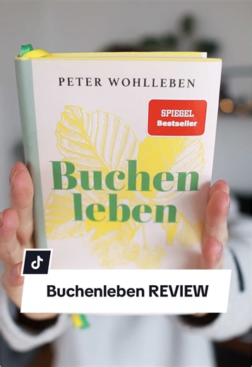 Buchenleben: Die Geschichte einer Buche 2025