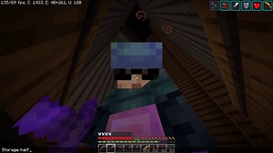 MINECRAFT 1.16.3 | Java Edition | #559