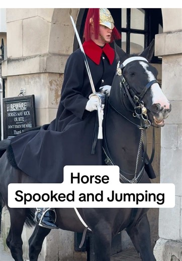 Unexpected Horse Action at Horse Guards Parade