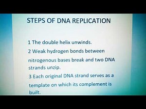DNA REPLICATION GRADE 12 LIFE SCIENCES