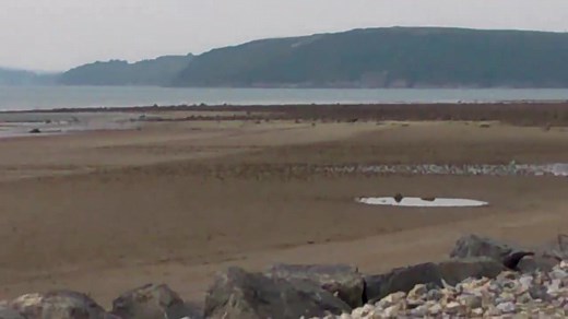 Father and son who found an unexploded bomb were throwing it against a rock before realising what it was. Good job this happened after the bomb squad got there! Read the full story here: http://bit.ly/1spMYN6 | Llanelli Star