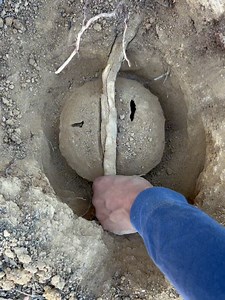 55K views · 1.5K reactions | 7 wonders on Reels | Facebook