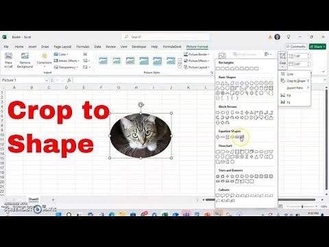 How to Crop an Image to a Shape in Microsoft Excel! #tutorial #howto #msexcel #imageediting