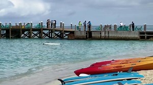 American killed by shark while paddleboarding in Bahamas
