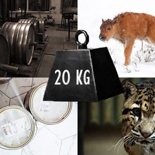 13 Things That Weigh 20 Kilograms (kg's)