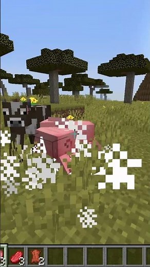 Faire des COMBATS de MOBS Sur Minecraft