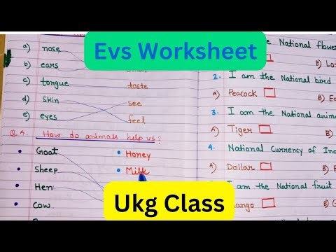Evs Worksheet For UKG|Evs Worksheet for Ukg class|Ukg Evs|@kidsclass700