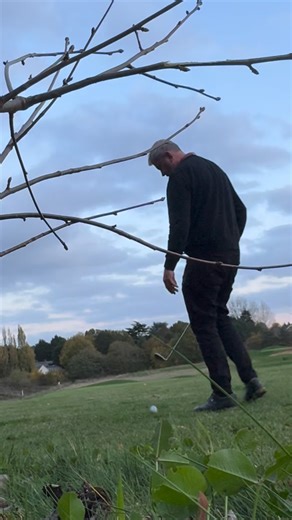 Tree Cam 💫 | Golflnx